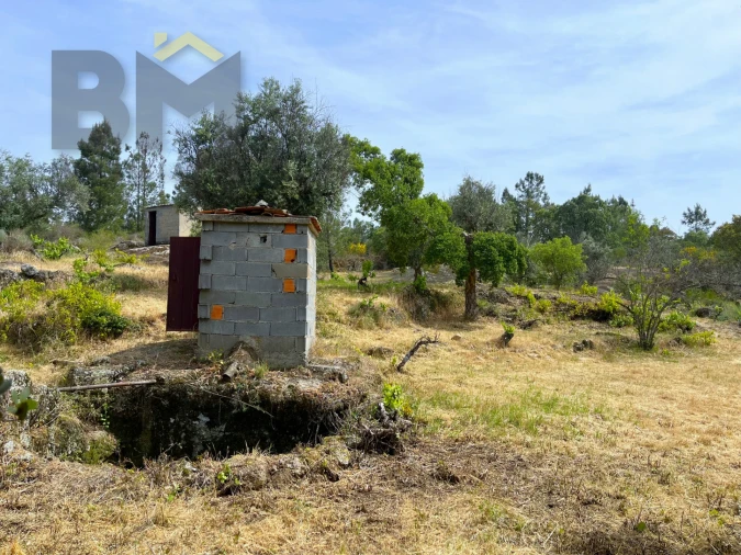 Quinta T0 para Venda em Freixial e Juncal do Campo Foto 19