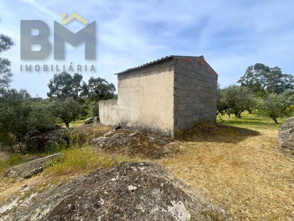 Quinta T0 para Venda em Freixial e Juncal do Campo Foto 10