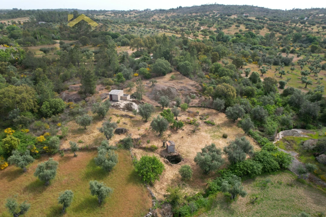 Quinta T0 para Venda em Freixial e Juncal do Campo Foto 2