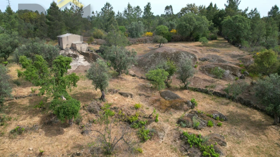 Quinta T0 para Venda em Freixial e Juncal do Campo