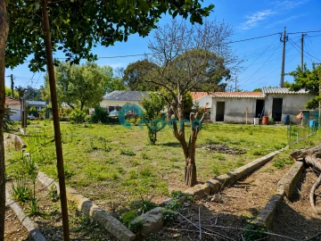 Moradia T3 para Venda em Oliveira do Douro