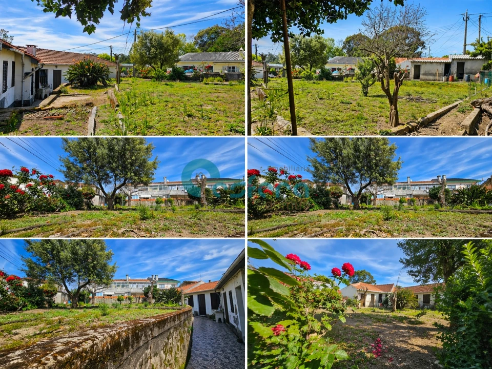 Moradia T3 para Venda em Oliveira do Douro Foto 23