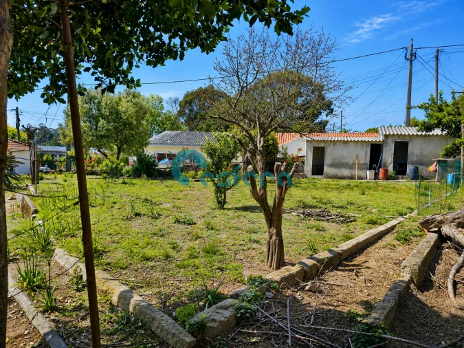 Moradia T3 para Venda em Oliveira do Douro Foto 22