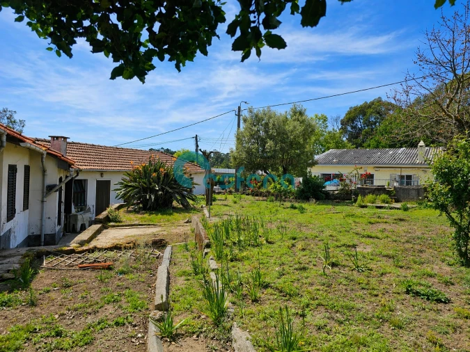 Moradia T3 para Venda em Oliveira do Douro Foto 21