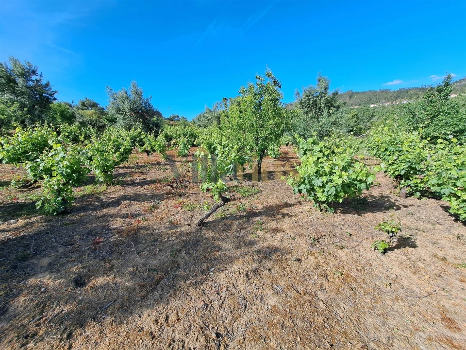 Moradia T4 para Venda em Igreja Nova do Sobral Foto 35