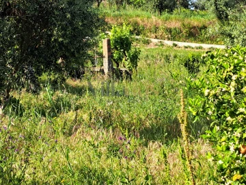 Moradia T4 para Venda em Igreja Nova do Sobral