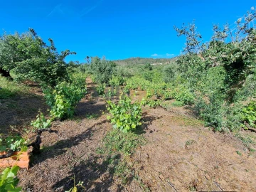 Moradia T4 para Venda em Igreja Nova do Sobral