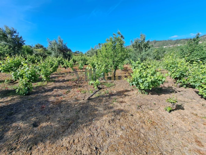 Moradia T4 para Venda em Igreja Nova do Sobral Foto 35