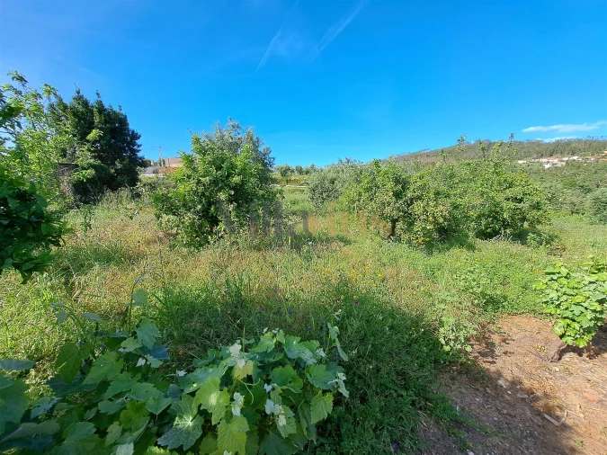 Moradia T4 para Venda em Igreja Nova do Sobral Foto 29