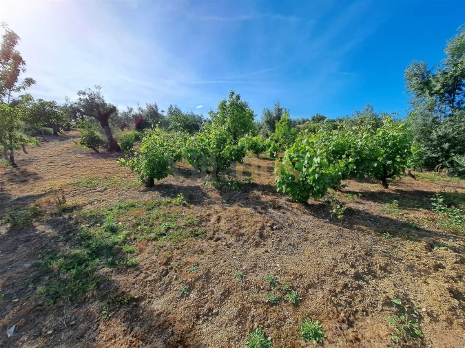 Moradia T4 para Venda em Igreja Nova do Sobral Foto 36