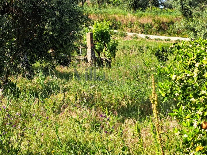 Moradia T4 para Venda em Igreja Nova do Sobral Foto 30