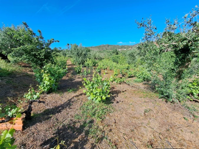 Moradia T4 para Venda em Igreja Nova do Sobral Foto 34