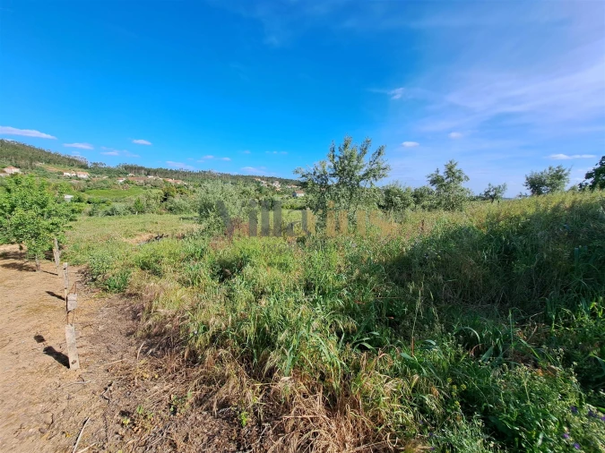 Moradia T4 para Venda em Igreja Nova do Sobral Foto 33