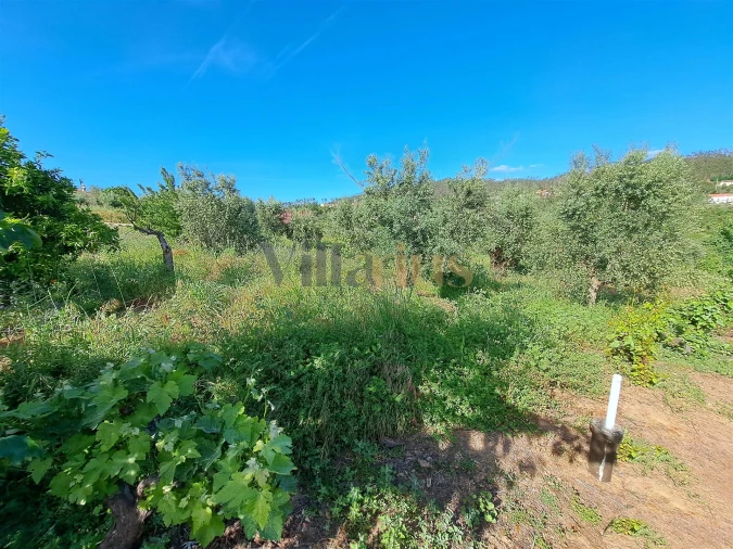 Moradia T4 para Venda em Igreja Nova do Sobral Foto 31