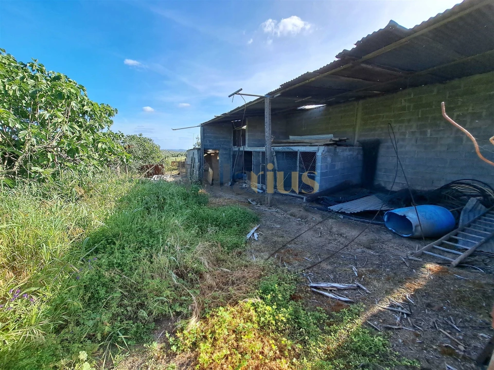 Moradia T4 para Venda em Igreja Nova do Sobral Foto 27