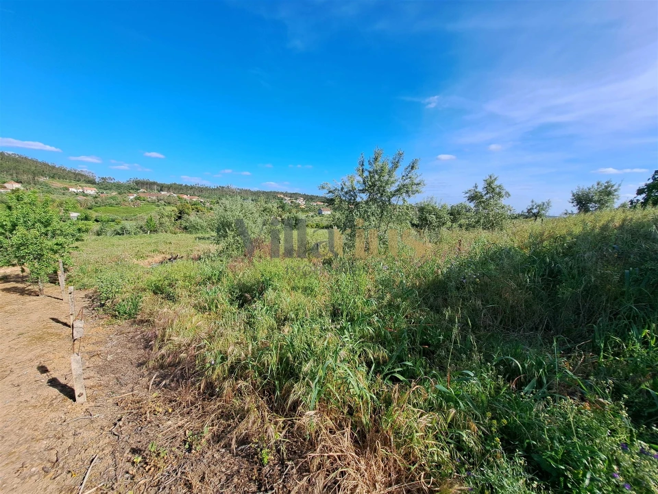 Moradia T4 para Venda em Igreja Nova do Sobral Foto 33