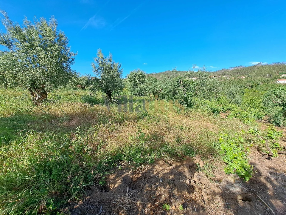 Moradia T4 para Venda em Igreja Nova do Sobral Foto 32