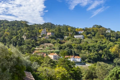 Moradia T5 para Arrendamento em Santa Maria e São Miguel, São Martinho, São Pedro Penaferrim