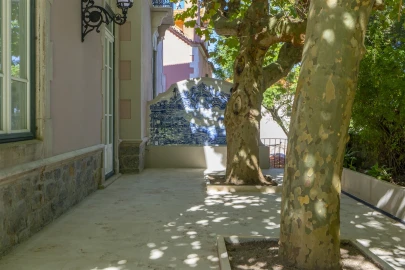 Moradia T5 para Arrendamento em Santa Maria e São Miguel, São Martinho, São Pedro Penaferrim