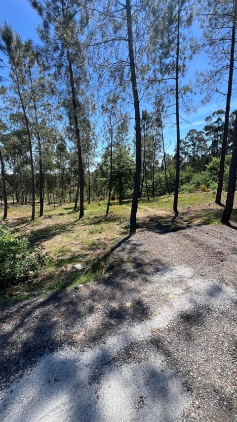 Terreno para Venda em Mundão