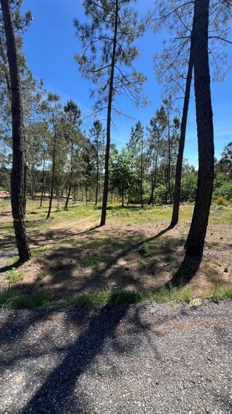 Terreno para Venda em Mundão