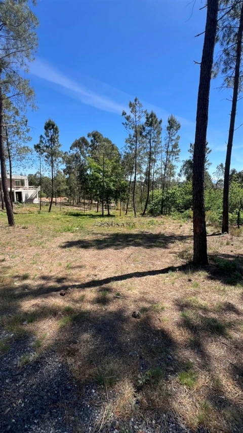 Terreno para Venda em Mundão