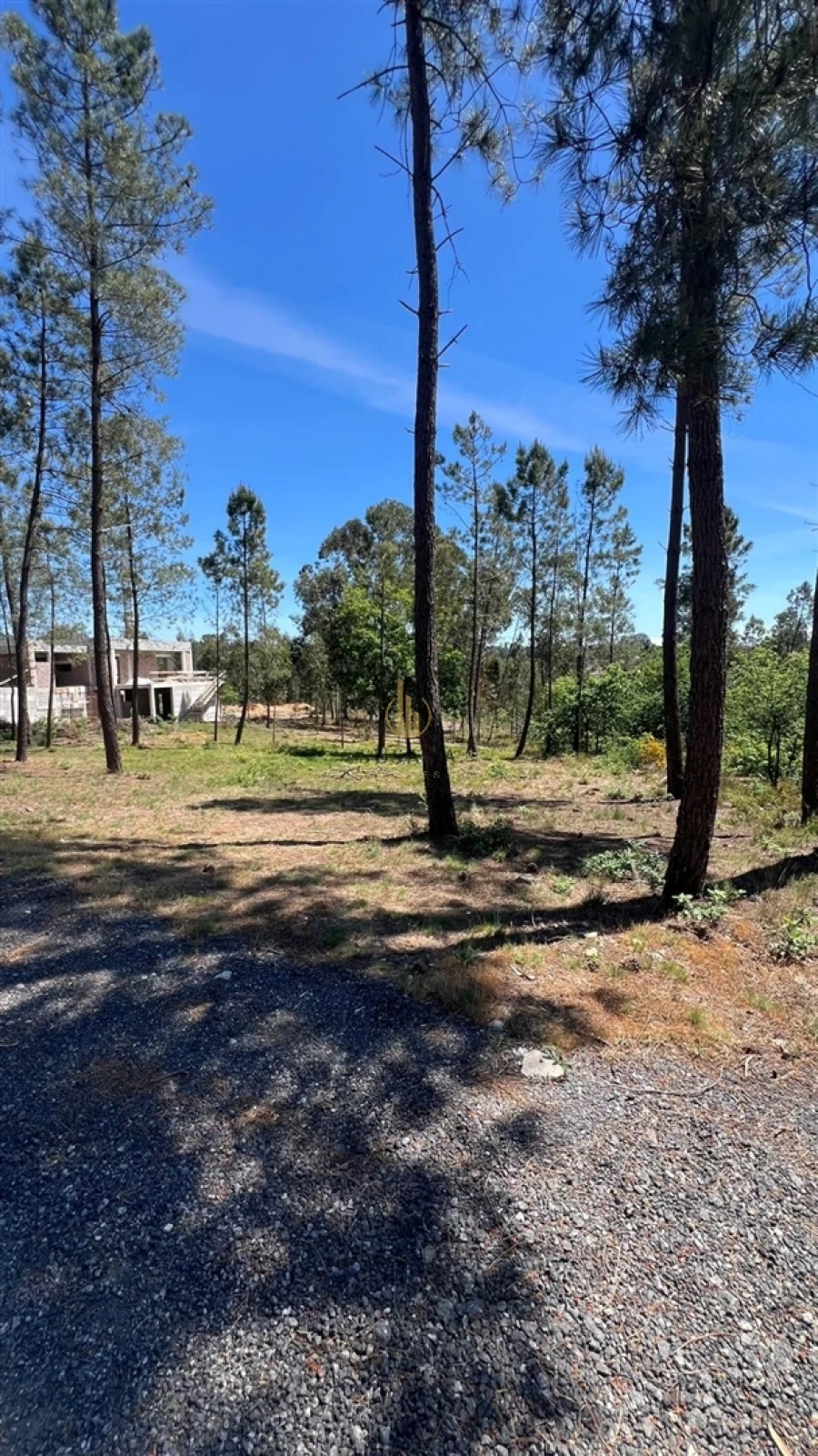 Terreno para Venda em Mundão Foto 3