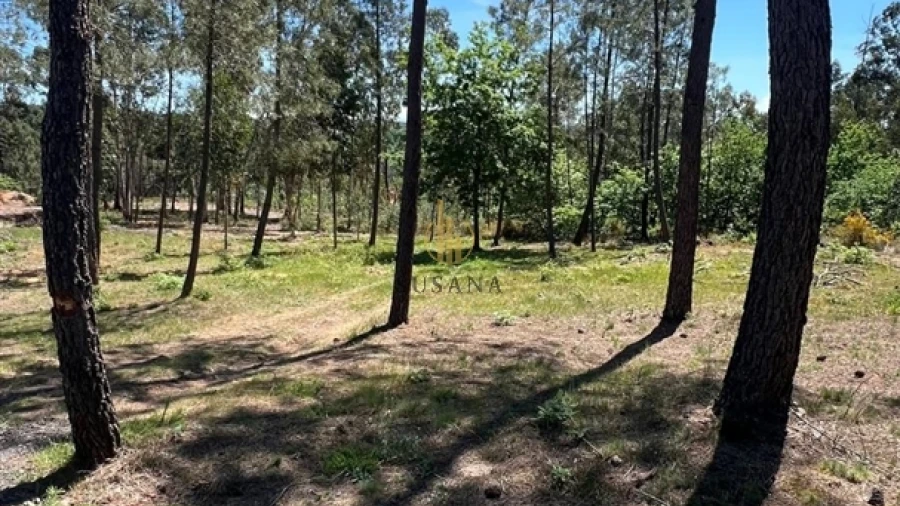 Terreno para Venda em Mundão