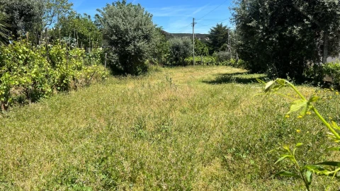 Moradia T3 para Venda em Mundão