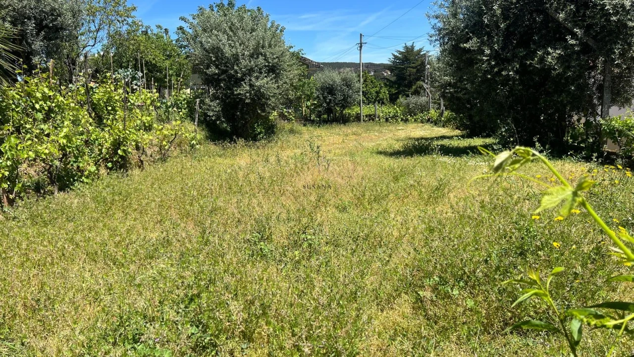 Moradia T3 para Venda em Mundão Foto 25