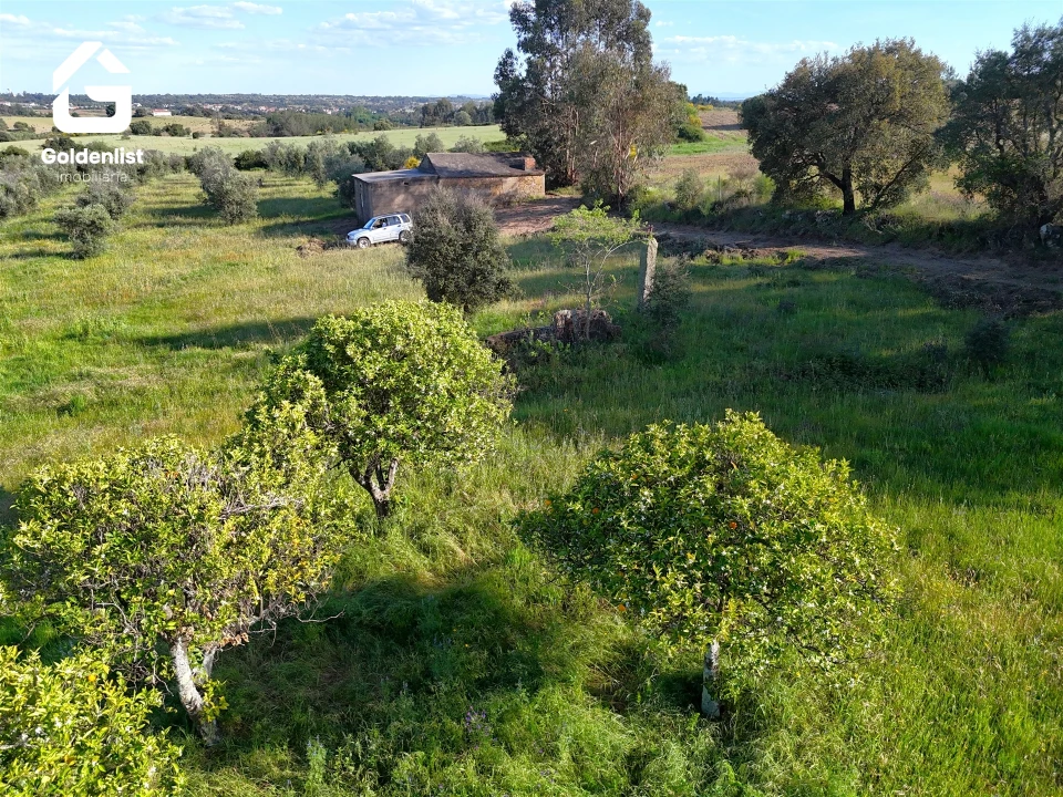 Quinta T0 para Venda em Escalos de Cima e Lousa Foto 8