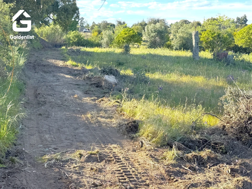 Quinta T0 para Venda em Escalos de Cima e Lousa Foto 39