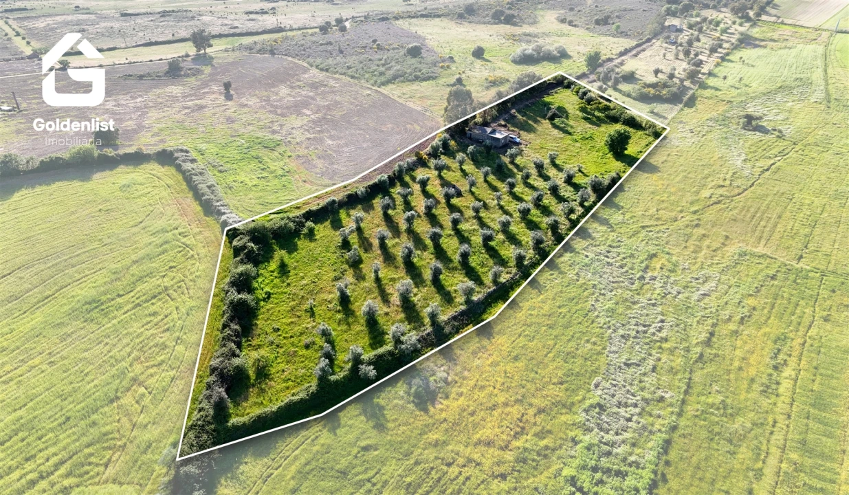 Quinta T0 para Venda em Escalos de Cima e Lousa Foto 5