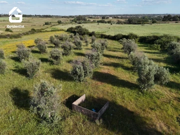 Quinta T0 para Venda em Escalos de Cima e Lousa