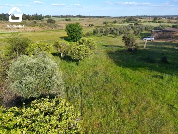 Quinta T0 para Venda em Escalos de Cima e Lousa