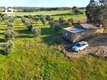 Quinta T0 para Venda em Escalos de Cima e Lousa