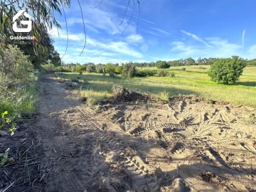 Quinta T0 para Venda em Escalos de Cima e Lousa