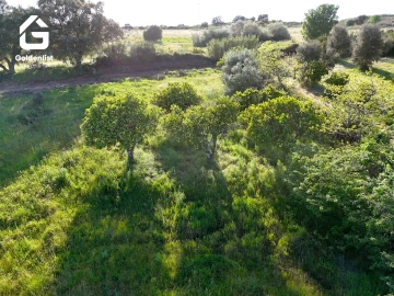 Quinta T0 para Venda em Escalos de Cima e Lousa