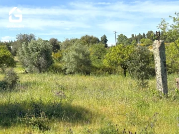 Quinta T0 para Venda em Escalos de Cima e Lousa