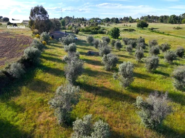 Quinta T0 para Venda em Escalos de Cima e Lousa