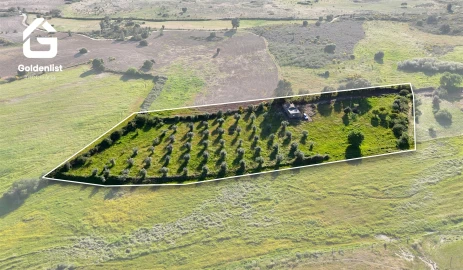 Quinta T0 para Venda em Escalos de Cima e Lousa