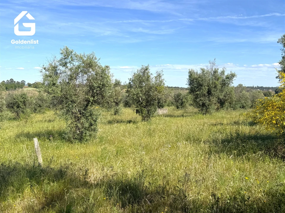 Quinta T0 para Venda em Escalos de Cima e Lousa Foto 29