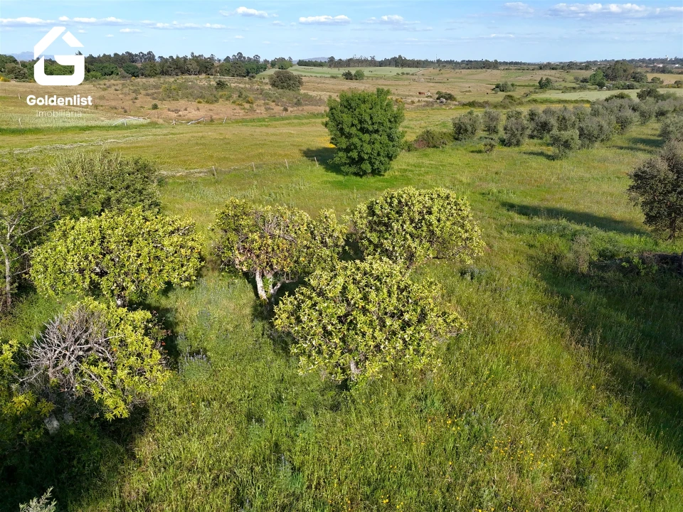 Quinta T0 para Venda em Escalos de Cima e Lousa Foto 12