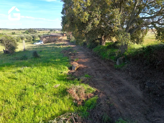 Quinta T0 para Venda em Escalos de Cima e Lousa Foto 13