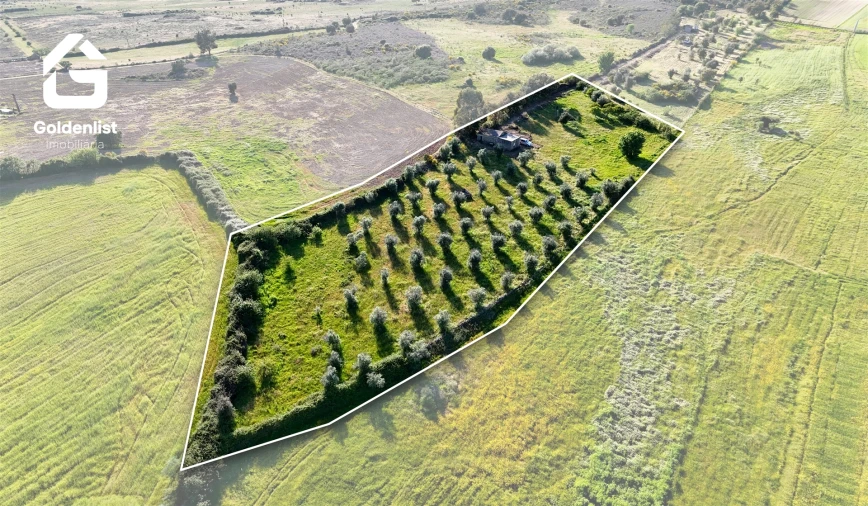 Quinta T0 para Venda em Escalos de Cima e Lousa Foto 5