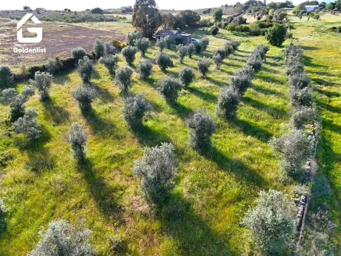 Quinta T0 para Venda em Escalos de Cima e Lousa Foto 6