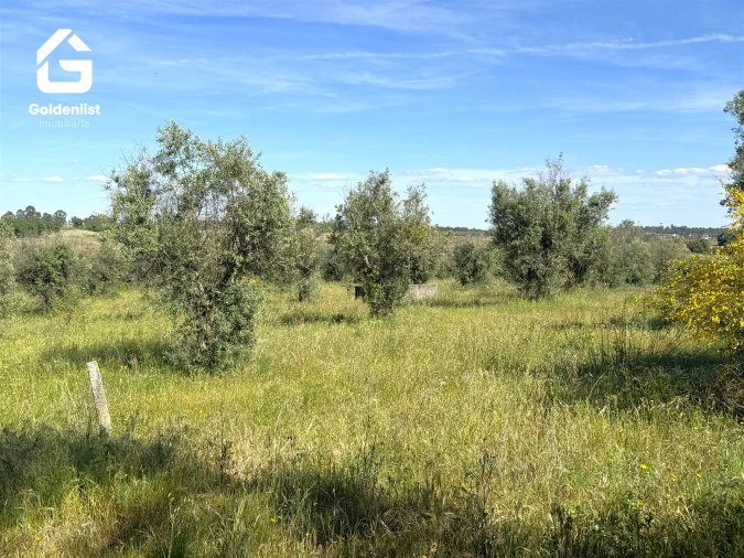 Quinta T0 para Venda em Escalos de Cima e Lousa Foto 29