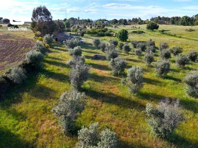 Quinta T0 para Venda em Escalos de Cima e Lousa Foto 22