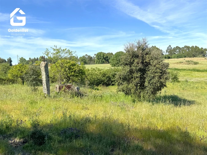 Quinta T0 para Venda em Escalos de Cima e Lousa Foto 27