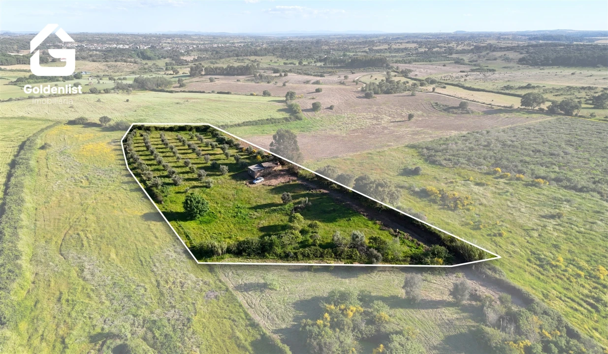 Quinta T0 para Venda em Escalos de Cima e Lousa Foto 1